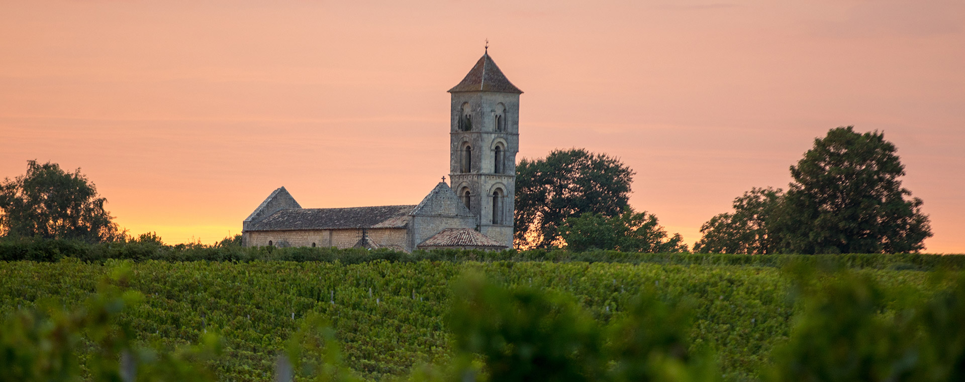 Chambres d'hôtes et gîte dans le Médoc